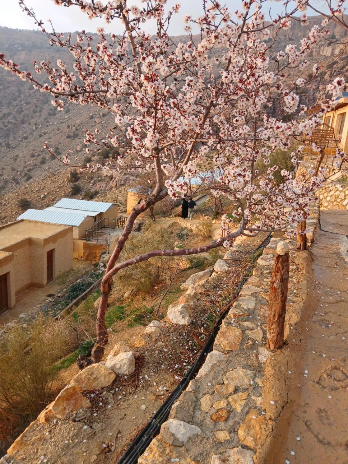 Dana Village Camp-Wadi Dana Eco Camp Exteriör bild